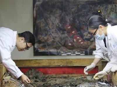 多地推动考古学专业建设，冷门专业逐渐“热”起来