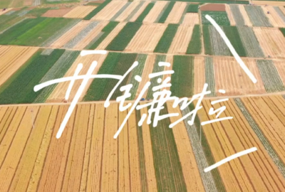 钢城颜庄莲花池村满眼都是金黄色的小麦，你是否还记得童年时的那片小麦和田野