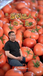 实拍：西红柿“农创达人”的一天怎样度过？