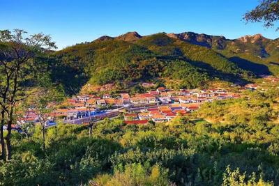 青岛韵、齐鲁风！书记市长带队，顶格观摩“先行区”建设
