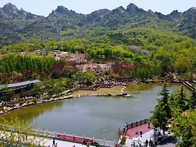 荒山变公园！青岛公园城市建设效果显现，绿水青山成“金名片”