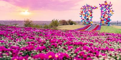 青岛这里聚力以温泉为核心的产业链条，打造山东省文旅康养融合发展示范区