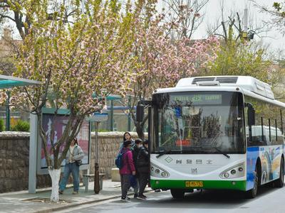 出行提醒！青岛651路公交6月12日开通，35路公交将优化调整