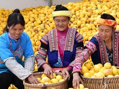 夏季吃“苦”胜过进补？这4种发苦的食物可能“藏毒”，千万别吃！