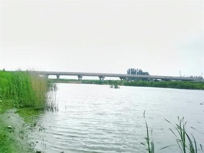 巨洋河上又添一座新桥！总投资1600万元，西海岸新区东漕汶桥通车