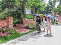 暑期新晋打卡地来了！八大关里藏着一座“莫奈花园”……