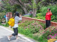 暑期新晋打卡地来了！八大关里藏着一座“莫奈花园”……