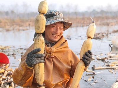 在夏季，很多人的肠胃就是这样被吃“垮”的！