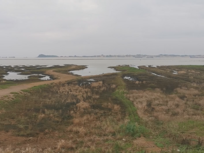 鄱阳湖水面积缩小1070平方公里，沿湖多地出现旱情
