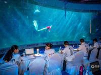 文体旅深度融合跃向深蓝，2023年中国美人鱼公开赛在青岛极地海洋公园启幕