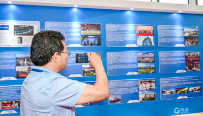 双展联动，“青岛金花”集群绽放