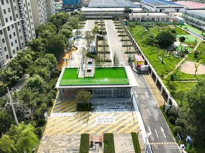 青岛又添一处可停车可休闲的“城市绿岛”！易通路林下共享空间项目竣工投用