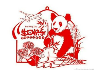 丫丫23岁了！大熊猫为何夏季“扎堆”过生日？