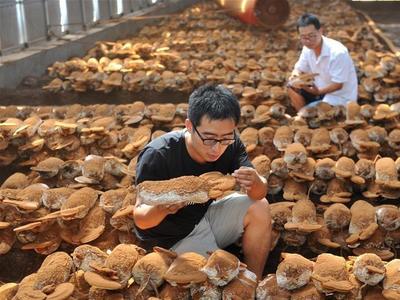 防癌、防糖尿病、护心脑……维生素D好处多！但补过量会中毒！每天别超过这个数→