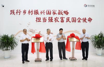 全国专家齐聚新区研讨“德育乡村”治理模式，“西海岸经验”获点赞