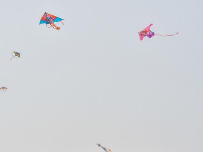 印媒称中国风筝线增鸟类受伤风险，中国网友：这锅我们不背