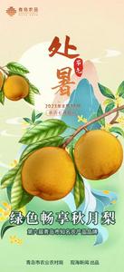 青岛农品·节气绘丨处署：离离暑云散，袅袅凉风起