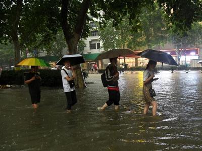 暴雨过后易生病，一定要防好这些病！