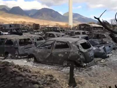 夏威夷毛伊岛大火亲历者：我们是靠自己活下来的