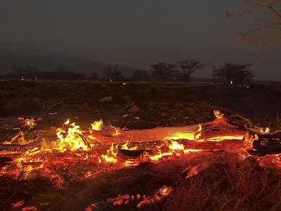 夏威夷山火致至少53死，尚无中国公民伤亡报告