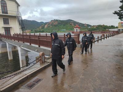 这场雨，下了一天一夜！青岛平均降水量49.1毫米，大中型水库“吃水”650万方