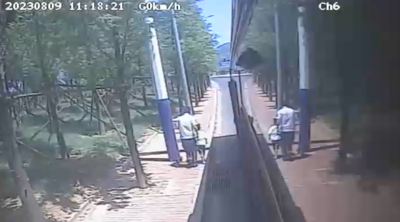 助老、护童、救伤……青岛好人善行义举为城市文明添彩