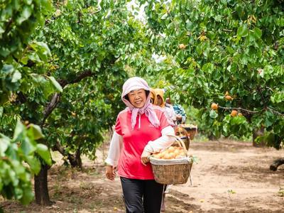 省级典型案例评选结果公示，青岛这些案例上榜