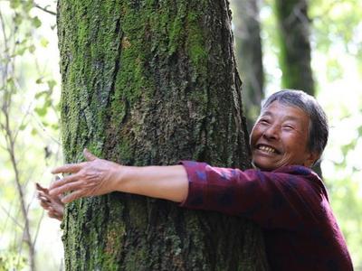 这届年轻人，正在靠“抱树”治内耗