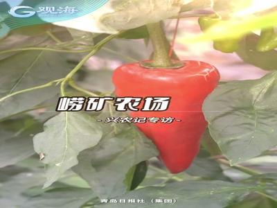 乘“云”触“网”，崂矿农场基地科技范儿十足！