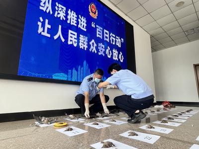 抓获3名嫌疑人，查获野生动物活体89只！黄岛公安“生态警务”守护绿水青山