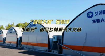 “智慧大棚”显身手，“小蘑菇”谱写乡村振兴大文章