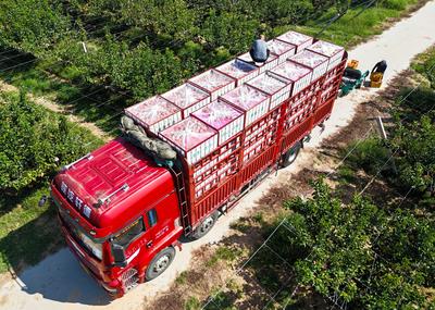 交通运输部：推动网络货运平台建立油价运价协同调整机制