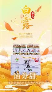 青岛农品·节气绘丨白露：清风白露，岁月无忧