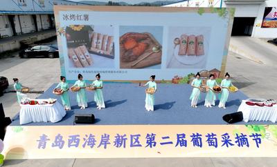 青岛西海岸新区第二届葡萄采摘节在大村镇举行