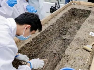 最新科技考古成果！无锡首获6000年前古人类DNA