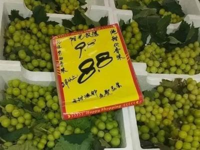 这种水果大降价，网友却说：没以前好吃了