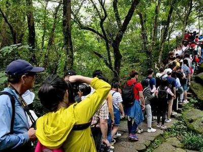 被骗、涉黄……“旅游搭子”暗藏多少陷阱？