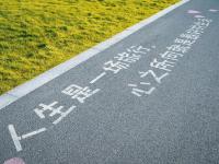 无敌海景、浪漫公园合体！这里是秋天最火出游地
