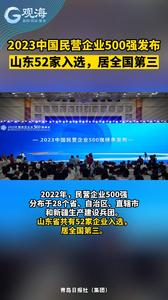 2023中国民营企业500强发布：山东52家入选，居全国第三