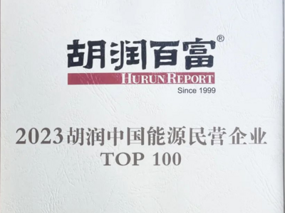 深耕光伏硅片切割，这家青企上榜中国能源民营企业TOP100