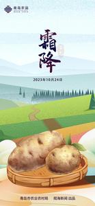 青岛农品·节气绘丨霜降：柳挂霜，枫披露