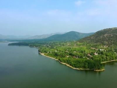 泗水之滨的无边光景——山东泗水县推进乡村振兴一线观察