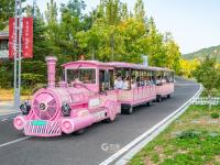 秋日美景“上线”，市民游客假期“打卡”世博园