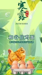 青岛农品·节气绘|寒露：清香晨风远，溽彩寒露浓