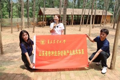 青岛农业大学创新人才培养模式，在乡村振兴大舞台上建功立业