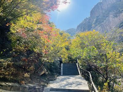 全国重阳节出游天气地图出炉！看哪里适宜登高赏秋