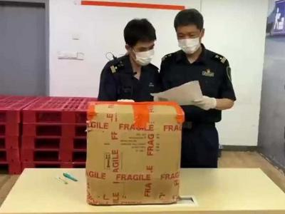 上海海关截获一空气炸锅，暗藏1.3万余只活体蚂蚁
