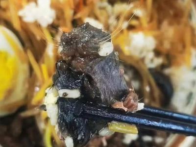 食堂被曝吃出疑似鼠头？华北理工大学通报：解除与餐饮公司合同