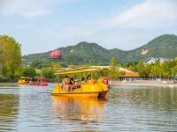 秋日美景“上线”，市民游客假期“打卡”世博园