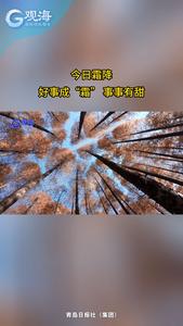 今日霜降：好事成“霜”，事事有甜